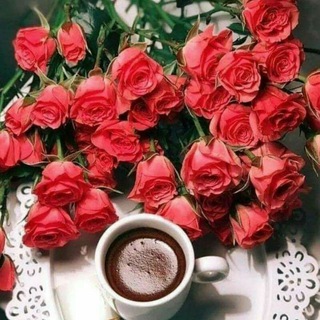 ❤♡ٲلـمـتعـة بلُ حـيـاة♡❤️