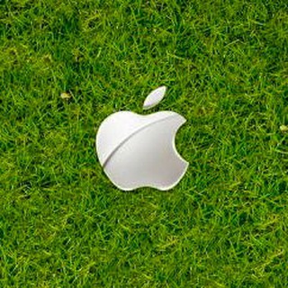 www.apple.ir
