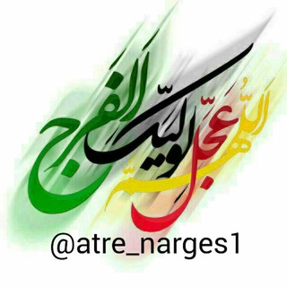 عطر نرگس1