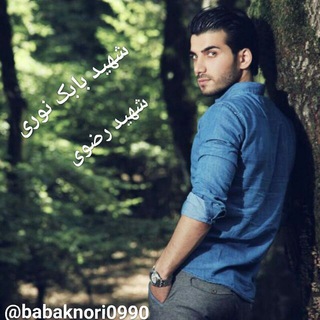 شهید بابک نوری