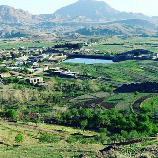 شبکه بيهود