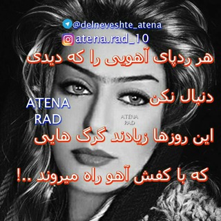 دلنوشته های من