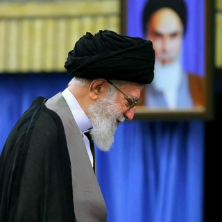 فداییان سید علی