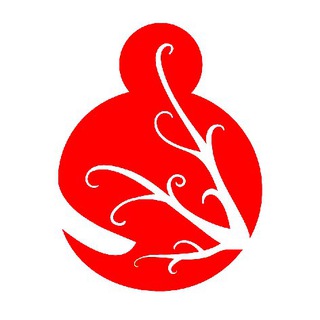Fractal Graphic | فرکتال گرافیک