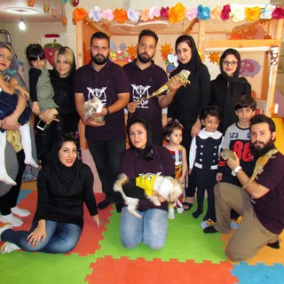 ?شرکت کلبه دام هانی?