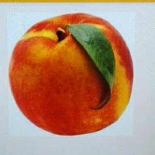 کانال هلو