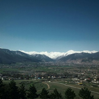 خبرگزاری کردیچال