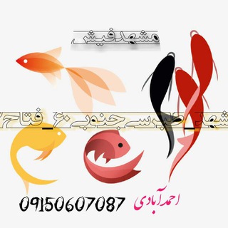 ??مشهد فیش??