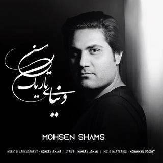 Mohsen Shams