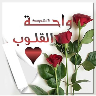 واحة القـلـ♥ـوب