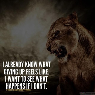 Motivation Mania