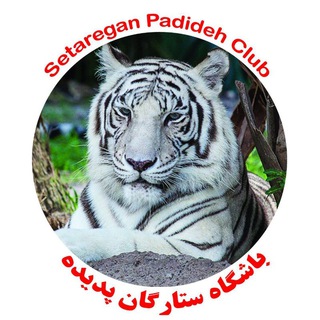 باشگاه ستارگان پدیده