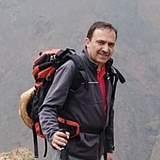 رضا اجتهادی