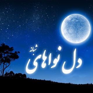 دل نواهای شبانه