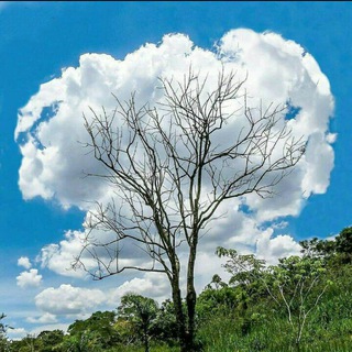 وادشت( دومین بهشت)