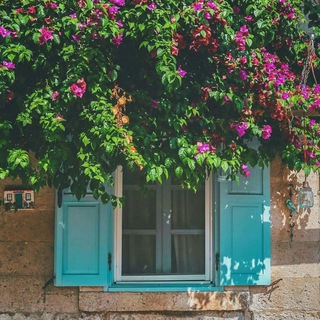 مَكرُمة الوَرد..