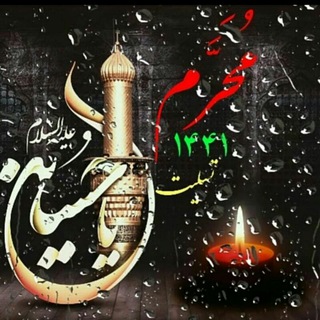 سایت یله قارشو
